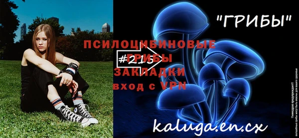 молекула духа Алексин