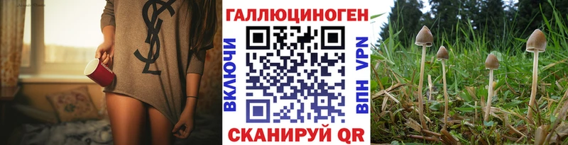 Галлюциногенные грибы GOLDEN TEACHER  продажа наркотиков  Полысаево 